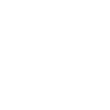 car-icon