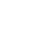 flight-icon